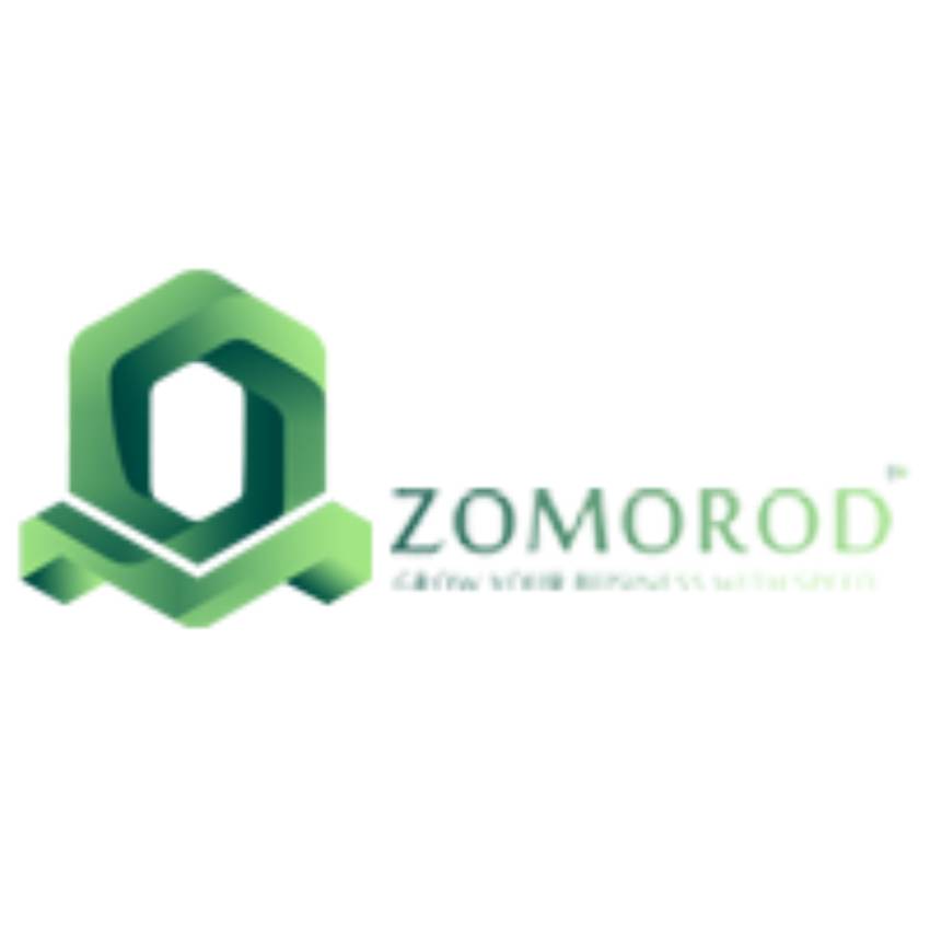 نرم افزار حسابداری طلا و جواهر زمرد